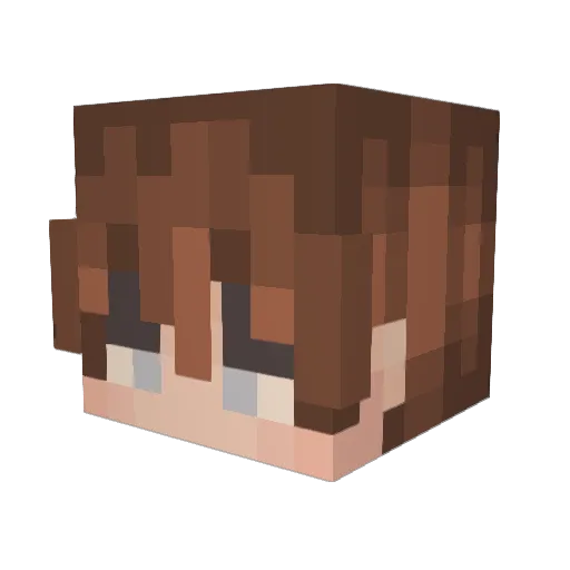 Ryano753 Minecraft avatar head, 3D render