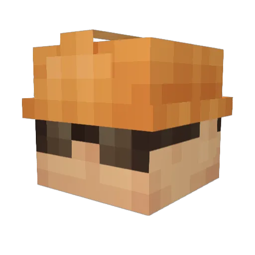 RyansArk Minecraft avatar head, 3D render