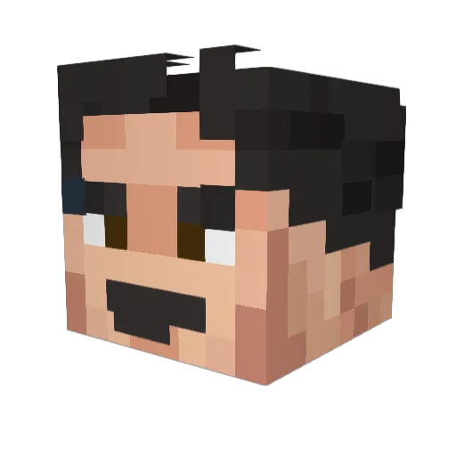Ryansonic7 Minecraft avatar head, 3D render