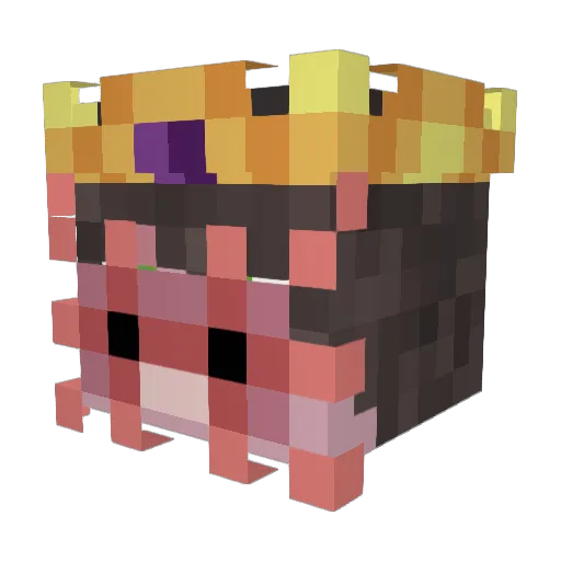 Ryantheawesome3 Minecraft avatar head, 3D render
