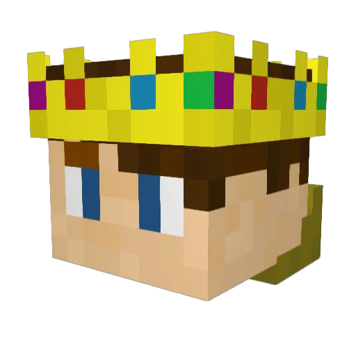 Ryantheking7904 Minecraft avatar head, 3D render