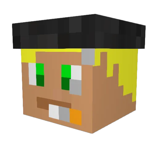 Ryanzin___14 Minecraft avatar head, 3D render