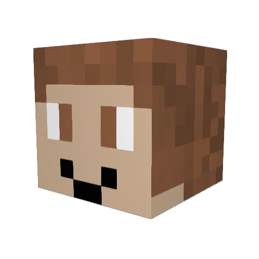 Rybak1010 Minecraft avatar head, 3D render