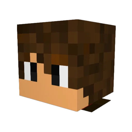 RybakZHolandii Minecraft avatar head, 3D render
