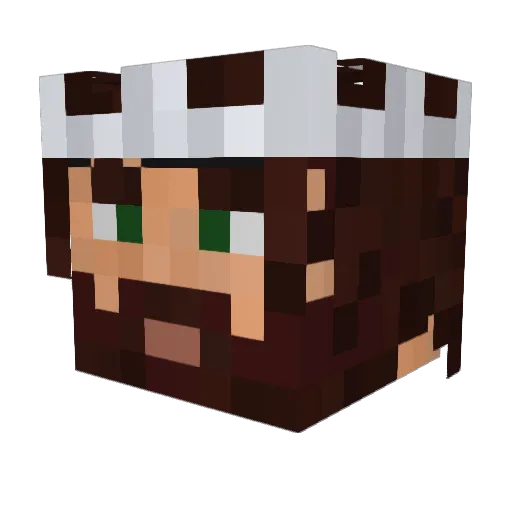 Ryben Minecraft avatar head, 3D render