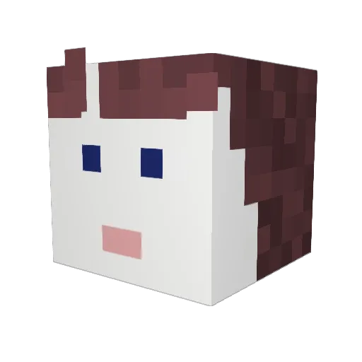 Rybik321 Minecraft avatar head, 3D render