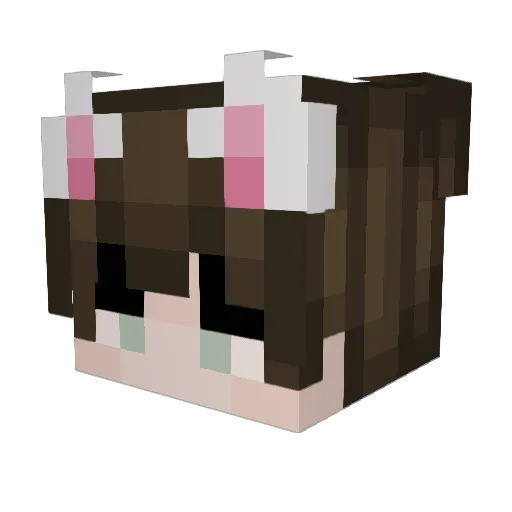 Rybovich Minecraft avatar head, 3D render