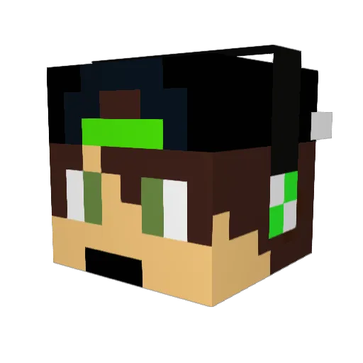 Rybu1 Minecraft avatar head, 3D render