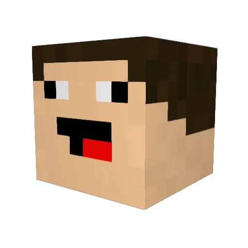 Rybud07 Minecraft avatar head, 3D render