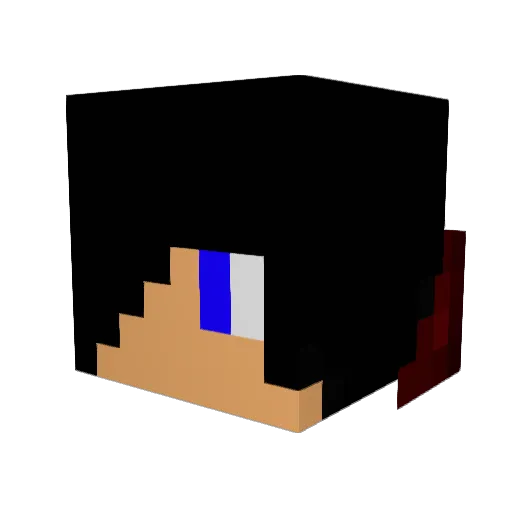 Rybugs1515 Minecraft avatar head, 3D render