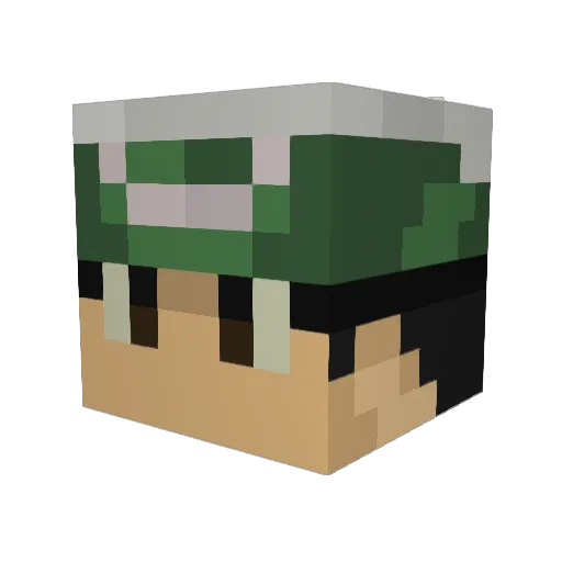 Rycas Minecraft avatar head, 3D render