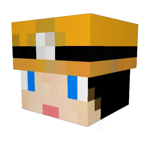 Ryce2669 Minecraft avatar head, 3D render