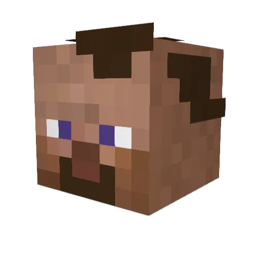 Ryceratops2001 Minecraft avatar head, 3D render