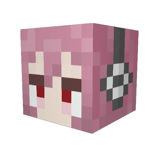 RychanWR2 Minecraft avatar head, 3D render