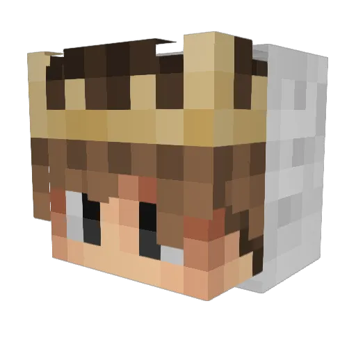 Rychu1212 Minecraft avatar head, 3D render