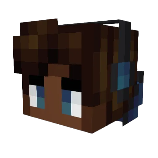 Rycrafter2011 Minecraft avatar head, 3D render