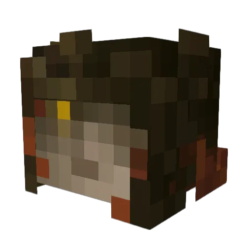 Rycte Minecraft avatar head, 3D render