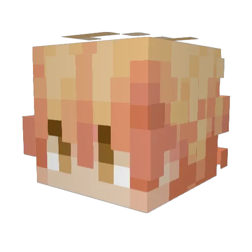 RyderFly23 Minecraft avatar head, 3D render