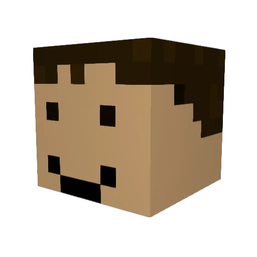 RyderLikesMining Minecraft avatar head, 3D render