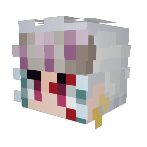 Ryds_ Minecraft avatar head, 3D render