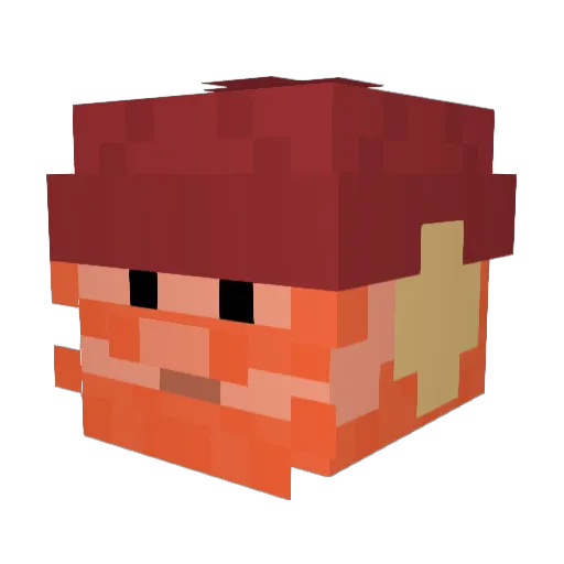RyeBrain Minecraft avatar head, 3D render