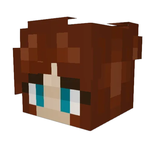 RyeD39 Minecraft avatar head, 3D render