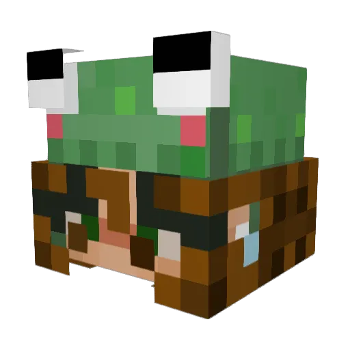 RyeReine Minecraft avatar head, 3D render