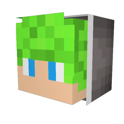 RyeW2S Minecraft avatar head, 3D render