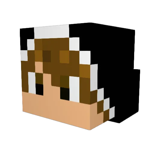 Rye_Owl Minecraft avatar head, 3D render