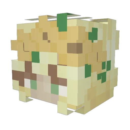 Rye_lyn Minecraft avatar head, 3D render