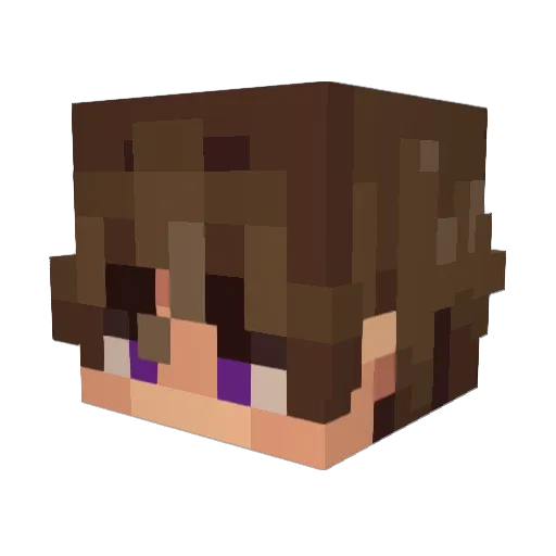 Ryean Minecraft avatar head, 3D render