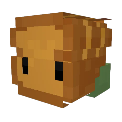 Ryebre4d Minecraft avatar head, 3D render