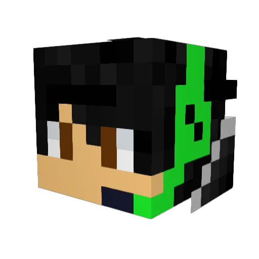 Ryeguyy7 Minecraft avatar head, 3D render