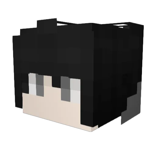 Ryeik Minecraft avatar head, 3D render