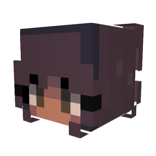 Ryelii Minecraft avatar head, 3D render