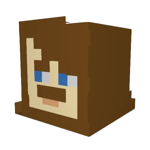 Ryeminer Minecraft avatar head, 3D render