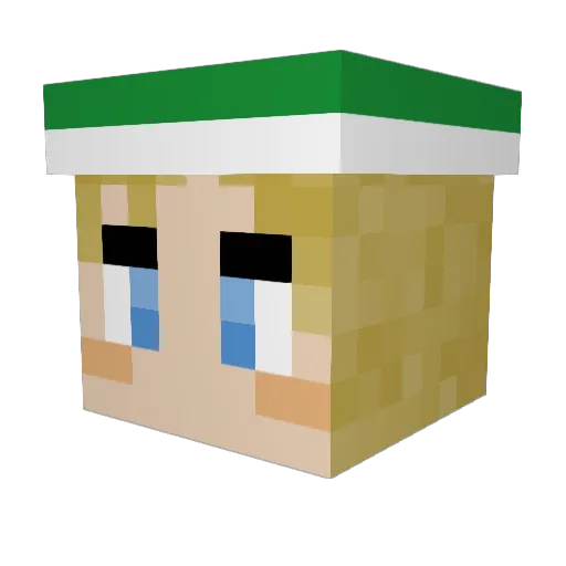 RyenwithanE Minecraft avatar head, 3D render