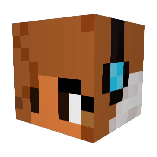 Ryesha1 Minecraft avatar head, 3D render