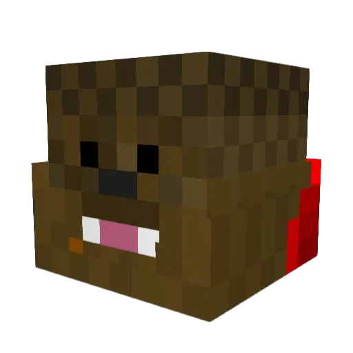 Ryespy Minecraft avatar head, 3D render