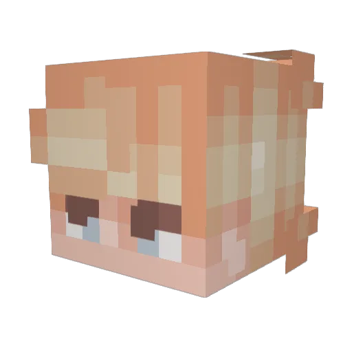 Ryfrye Minecraft avatar head, 3D render
