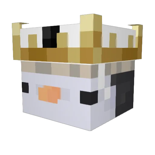 Ryft14 Minecraft avatar head, 3D render