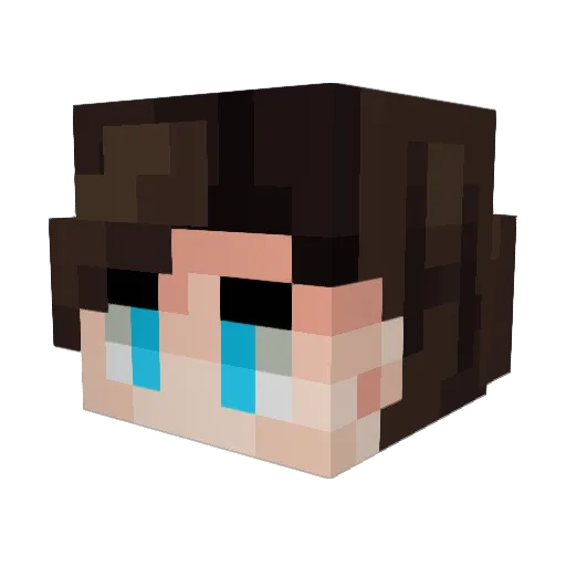 Ryfti Minecraft avatar head, 3D render