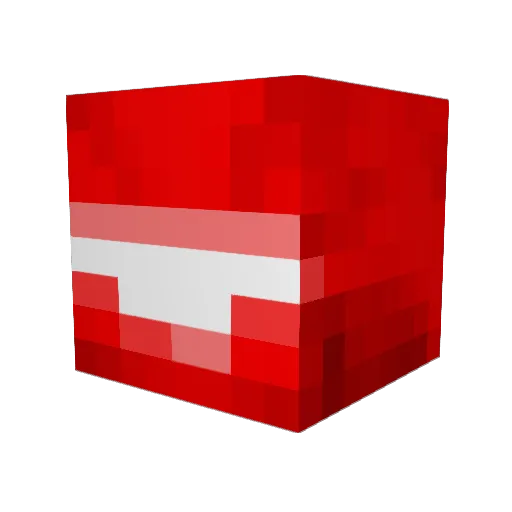 Ryguy1050 Minecraft avatar head, 3D render