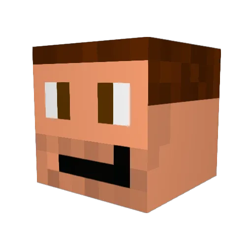 Ryguy1212 Minecraft avatar head, 3D render