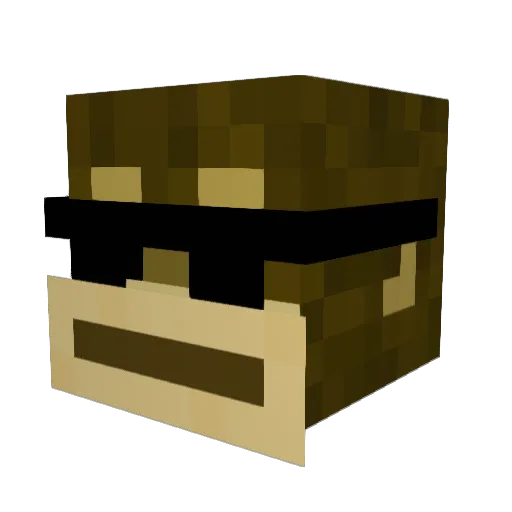 Ryguy32 Minecraft avatar head, 3D render