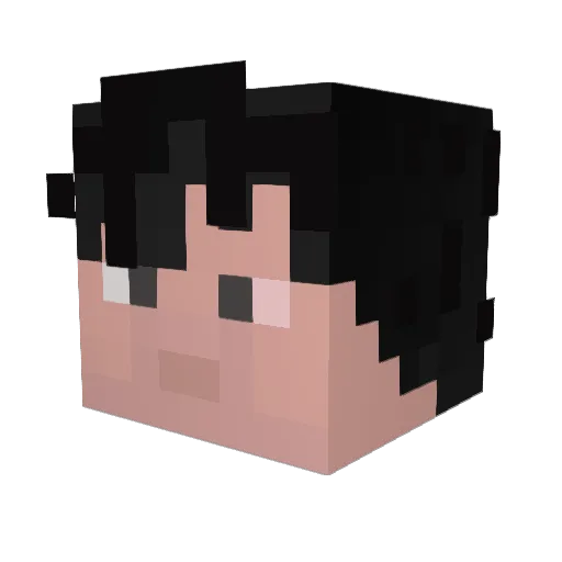 Ryguy5o Minecraft avatar head, 3D render