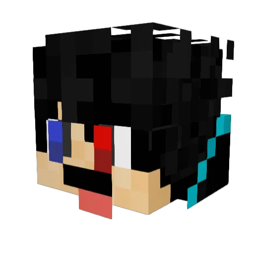 RyguyRocky207 Minecraft avatar head, 3D render