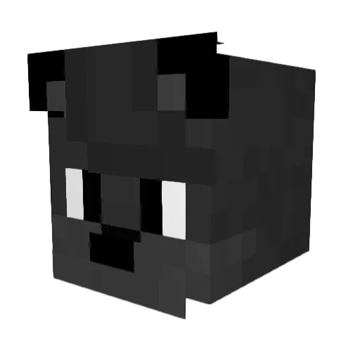 Ryhes Minecraft avatar head, 3D render