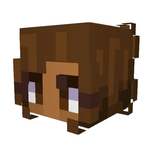 Ryhnosaur_ Minecraft avatar head, 3D render