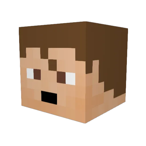 Ryhon64 Minecraft avatar head, 3D render